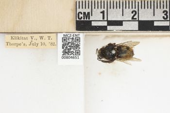 Media type: image;   Entomology 804651 Aspect: labels
